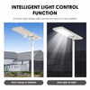 Energy Efficient Solar Street Light with Motion Sensor Technology