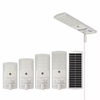 Ecosun All in Two Solar Street Light Fixture